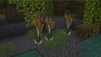 Firefly Bush to Cattails (Toasty's Forbidden Corndogs) screenshot
