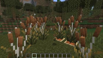 Firefly Bush to Cattails (Toasty's Forbidden Corndogs) screenshot