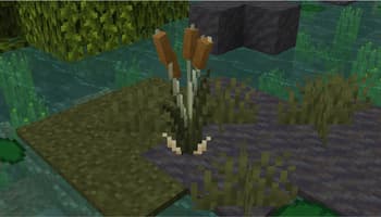 Firefly Bush to Cattails (Toasty's Forbidden Corndogs) screenshot