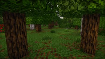 Revibed screenshot