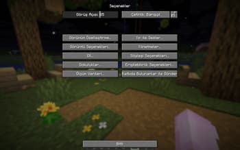 Arı Türkçe Yama screenshot