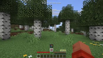 ExpView screenshot