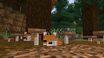 Mushrooms Plus screenshot