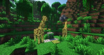 More Animals 2 screenshot