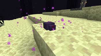 MCS Ender Dragon screenshot