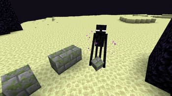 MCS Ender Dragon screenshot
