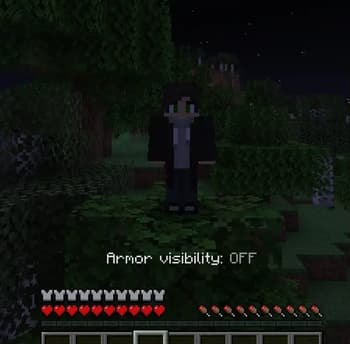 Hidden Armor screenshot