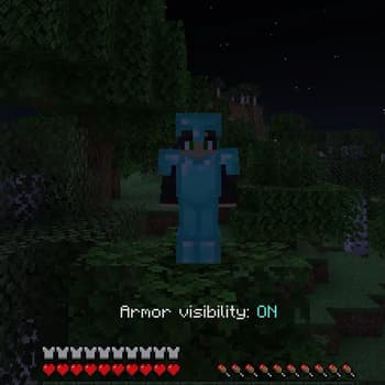 Hidden Armor screenshot
