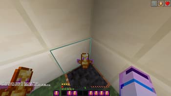 SMP Revamped screenshot