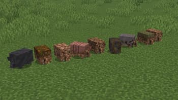 Mud and Dirt Armadillos screenshot