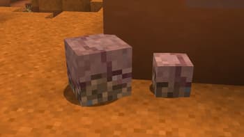 Mud and Dirt Armadillos screenshot