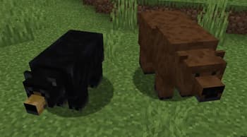 Bear Minimum screenshot