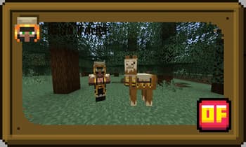 Biomes Wandering Traders screenshot