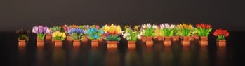 Fresh Flower Pots: Compats screenshot