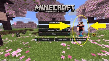 MrOptituber screenshot