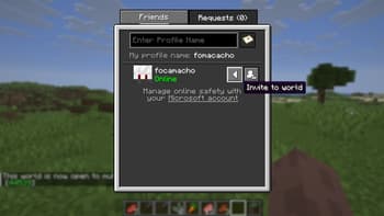 Friends List Backport screenshot