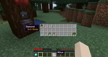 Beans Backpacks screenshot