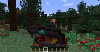 Beans Backpacks screenshot
