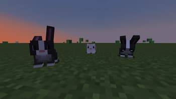 bbyj's Pet Bunny screenshot