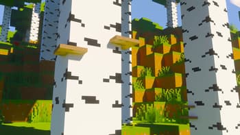 Birch Mushrooms screenshot