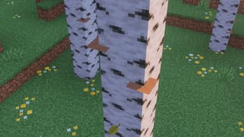 Birch Mushrooms screenshot