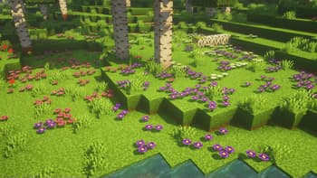 Wondrous Wilds screenshot