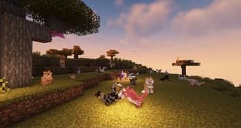 Doggy Talents Next screenshot