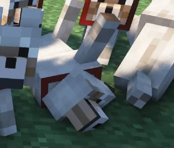 Doggy Talents Next screenshot
