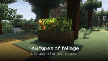 Borukva Food Exotic screenshot