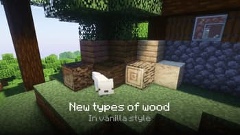 Borukva Food Exotic screenshot