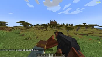 Vic's Point Blank screenshot