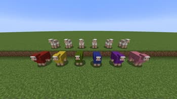 Don't judge a sheep by its wool screenshot