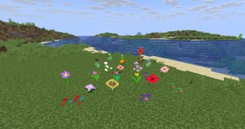 Variant-Decoration screenshot