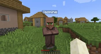 Custom Villager Names screenshot