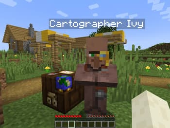 Custom Villager Names screenshot