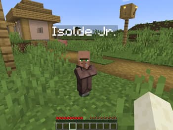 Custom Villager Names screenshot