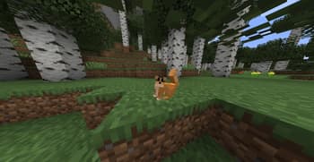 Warrior Cats Events screenshot