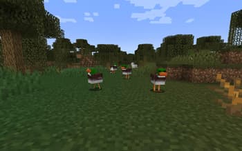 Clucking Ducks screenshot