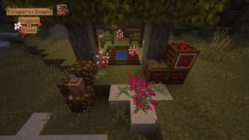 Forager's Insight screenshot