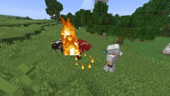 Enchantment Effects screenshot