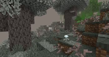 Instant Feedback screenshot