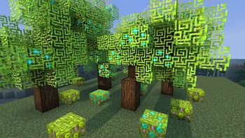Darker Folliage leaves and woods screenshot
