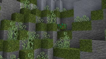 Darker Folliage leaves and woods screenshot