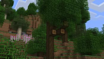 Darker Folliage leaves and woods screenshot