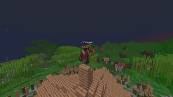 Strength SMP screenshot