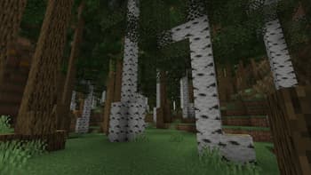 Better Forests screenshot