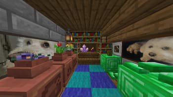 Kiwi Paintings screenshot