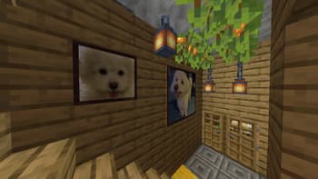Kiwi Paintings screenshot