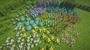 Luster screenshot