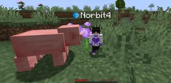 SurvivalTweaks screenshot